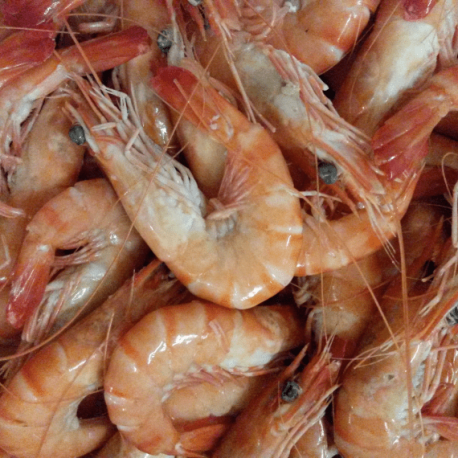 Crevettes tropicales cuites