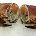 Crabe Tourteau Cuit