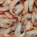 Crevettes tropicales cuites 80/100