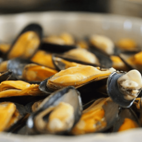 Moule de Bouchot de Pénestin Moule de Bouchot de Pénestin