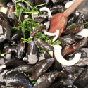 Moule de Bouchot FRANCE