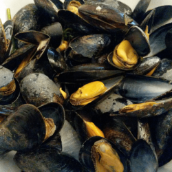 Moule de Bouchot FRANCE