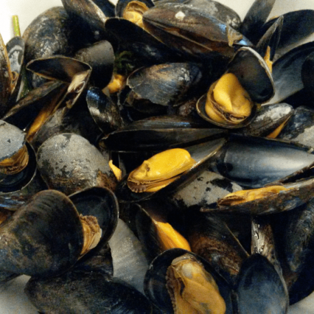 Moule de Bouchot FRANCE Moule de Bouchot FRANCE