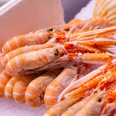 Langoustines glacées